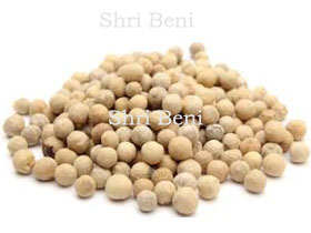 White Pepper
